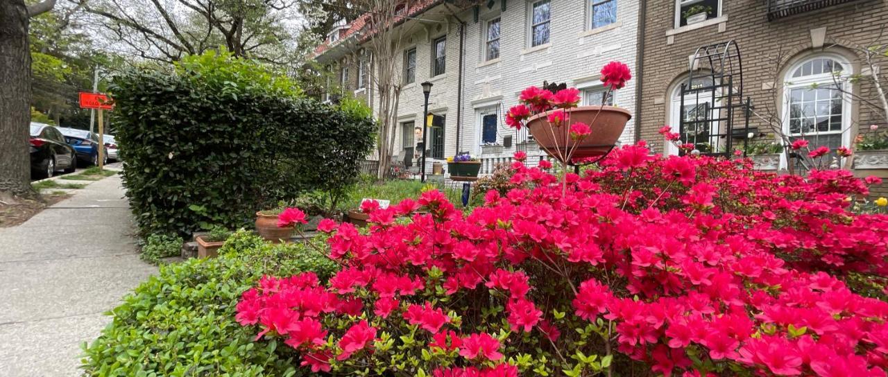 Wayside Inn Bed And Breakfast Ellicott City Luaran gambar
